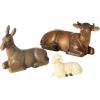 Animals