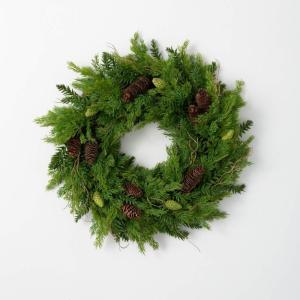 imageSullivans 28quot Frosted Green Cedar Wreath Artificial Greenery Flowers Everyday Seasonal Wreaths Indoor ampamp Outdoor Wreaths for Front Door Entryway Porch DcorHemlock