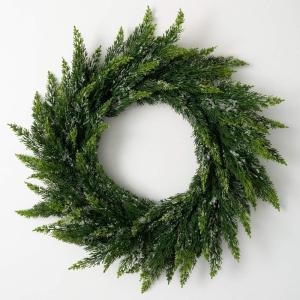 imageSullivans 28quot Frosted Green Cedar Wreath Artificial Greenery Flowers Everyday Seasonal Wreaths Indoor ampamp Outdoor Wreaths for Front Door Entryway Porch DcorFrosted Green