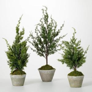 imageSullivans Dwarf Cedar Tree Set of 3 Everyday Artificial Trees Fake Indoor Tree Artificial Greenery Decor Living Room Office Entryway Home Decor