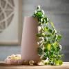 imageSullivans 12quot Matte Blush Pink Scalloped Vase Home Dcor Accents Tabletop Vases Living Room Dcor Mantle and Entryway Vases