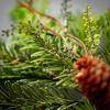 imageSullivans 22quot Soft Touch Pine Wreath Christmas Wreath Front Decor Decor Perfect for Fireplace Mantels Dining and Living RoomsSoft Touch Pine