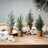 imageSullivans 5 White Cypress Garland Christmas Decor Artificial Greenery Perfect for Fireplace Mantels Dining and Living RoomsGD1473