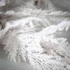 imageSullivans 5 White Cypress Garland Christmas Decor Artificial Greenery Perfect for Fireplace Mantels Dining and Living RoomsWhite Cypress