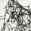 imageSullivans 6 Black Halloween Drop Garland Fall Decor Artificial Greenery Perfect for Fireplace Mantels Dining and Living Rooms6 Black