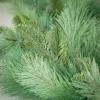 imageSullivans 6Foot Long Pine ampamp Pinecone Christmas Garland Artificial Greenery Seasonal Holiday Decor Perfect for Weddings Fireplace Mantels Dining and Living RoomFrosted Pine