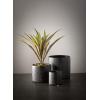 imageSullivans Black Textured Pot Set of 3 Home Dcor Accents Living Room Dcor and Accessories Table and Mantle Decorations