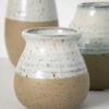 imageSullivans Bud Vases Farmhouse Mantle ampamp Shelf Decor Decorations for Living Room Bathroom Kitchen ampamp Office Coffee Table Decor Petite Boho Vases Rustic Decor For Your Home CM2583Twotoned