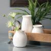 imageSullivans Bud Vases Farmhouse Mantle ampamp Shelf Decor Decorations for Living Room Bathroom Kitchen ampamp Office Coffee Table Decor Petite Boho Vases Rustic Decor For Your Home CM2583Distressed White