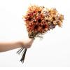 imageSullivans Cherry Fall Cosmos Flower Bundle Set of 3 Artificial Fake Flower Lifelike Bouquet Centerpiece for Home Office Weddings and Gifts Decor18
