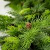 imageSullivans Christmas Garland 4 Ft Cedar Garland Frosted Blue Cedar Greenery Garland Indoor Holiday Dcor Perfect for Fireplace Mantle Weddings Dining and Living RoomGD1559
