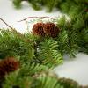 imageSullivans Christmas Garland 6 Ft Pine Garland Soft Touch Greenery Garland Indoor Holiday Dcor Perfect for Fireplace Mantle Weddings Dining and Living RoomPine