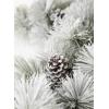 imageSullivans Christmas Garland 6 Ft Pine ampamp Cone Garland Snow Flocked Greenery Garland Indoor Holiday Dcor Perfect for Fireplace Mantle Weddings Dining and Living RoomHeavy Flock Pinecone