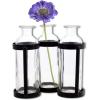 imageSullivans Glass Vase Set 155 x 65 Inches Hinged Metal Holder Clear Set of 5 G6412Set of 3