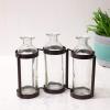 imageSullivans Glass Vase Set 155 x 65 Inches Hinged Metal Holder Clear Set of 5 G6412Set of 3