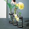 imageSullivans Glass Vase Set 155 x 65 Inches Hinged Metal Holder Clear Set of 5 G6412Set of 3