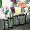 imageSullivans Glass Vase Set 155 x 65 Inches Hinged Metal Holder Clear Set of 5 G6412Set of 5