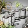 imageSullivans Glass Vase Set 155 x 65 Inches Hinged Metal Holder Clear Set of 5 G6412Set of 5