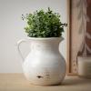 imageSullivans Modern Farmhouse Decorative Ceramic Pitcher 9 x 7 x 8 inches Distressed Farmhouse Dcor OffWhite Crackled Finish Faux Floral Vase Mantel Dining Table and Living Room Dcor CM2515