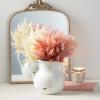 imageSullivans Modern Farmhouse Decorative Ceramic Pitcher 9 x 7 x 8 inches Distressed Farmhouse Dcor OffWhite Crackled Finish Faux Floral Vase Mantel Dining Table and Living Room Dcor CM2515