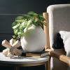 imageSullivans White Ceramic Flower Vase Modern Home Decor Vases for Flowers Vases for Centerpieces Mantle Tabletop Accent Table Vases Kitchen Living Room and Office Decor CM3137Ivory