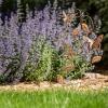 imageSullivans Garden Dcor Metal Stake 2925quot Butterfly ampamp Leaf Stake Decorations Warm Bronze Graceful Butterfly and Flowers Metal Patio Dcor Outdoor Dcor for Outside Lawn Decoration