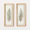 imageSullivans Wall Dcor Wall Art Plant Set of 2 245quot Fern ampamp Mushroom Decor Cottage Core Art Handmade Paper Wood Frame Floating Glass Front Artwork Rustic Decorations Hanging Art for Bedroom Office Home