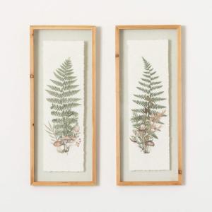 imageSullivans Wall Dcor Wall Art Plant Set of 2 245quot Fern ampamp Mushroom Decor Cottage Core Art Handmade Paper Wood Frame Floating Glass Front Artwork Rustic Decorations Hanging Art for Bedroom Office Home