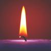 imageAqua Timber Collection Pillar Candle 325x6Purple