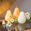 imageSullivans Vance Kitira Pear Candle Set of 3 Unscented 45 Inch CleanBurning Dripless RealWax Candles for Home and Hosting Dcor