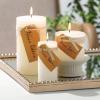 imageSullivans Vance Kitira Set of 3 Pillar Candles CleanBurning EnvironmentalFriendly Scentless RealWax Candles Home Dcor Hosting DcorMelon White