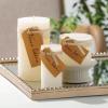 imageSullivans Vance Kitira Set of 3 Pillar Candles CleanBurning EnvironmentalFriendly Scentless RealWax Candles Home Dcor Hosting DcorMelon White