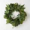 imageSullivans Spring Wreaths for Front Door Mixed Leaf Wreath 24quot Artificial Green Mixed Tropical Greenery Leaf Round Spring Wreath Indoor Outdoor Decorations for Fireplace Cabinet Mantle Home Dcor