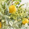 imageSullivans Artificial Set of 2 Herb Lemon Topriaries 24quot H ampamp 19quot H Green