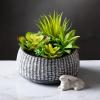 imageSullivans Artificial Succulent in Ceramic Pot 6quot H Faux Succulent Perfect for House Living Room Office Housewarming Gift Indoor Decor