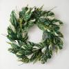 imageSullivans Spring Wreaths for Front Door Variegated Leaf Wreath 28quot Artificial Green Mixed Tropical Greenery Leaf Round Wreath Indoor Outdoor Decorations for Fireplace Cabinet Mantle Home Dcor