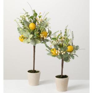 imageSullivans Artificial Set of 2 Herb Lemon Topriaries 24quot H ampamp 19quot H Green