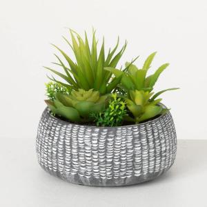imageSullivans Artificial Succulent in Ceramic Pot 6quot H Faux Succulent Perfect for House Living Room Office Housewarming Gift Indoor Decor