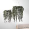 imageSullivans 15quot Draping Cypress Hanging Wreath Christmas Decor Artificial Greenery Perfect for Fireplace Mantels Dining and Living Rooms15 Inch
