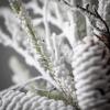 imageSullivans 21quot Snowy Cedar Wreath Christmas Wreath Front Decor Decor Perfect for Fireplace Mantels Dining and Living Rooms24 Inches