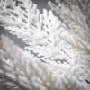 imageSullivans 21quot Snowy Cedar Wreath Christmas Wreath Front Decor Decor Perfect for Fireplace Mantels Dining and Living Rooms28 Inches