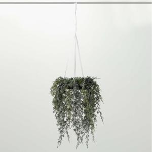 imageSullivans 15quot Draping Cypress Hanging Wreath Christmas Decor Artificial Greenery Perfect for Fireplace Mantels Dining and Living Rooms15 Inch