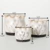 imageSullivans 35quot 45quot ampamp 525quot Scalloped Floral Planter  Set of 3 White