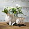 imageSullivans 35quot 45quot ampamp 525quot Scalloped Floral Planter  Set of 3 White