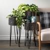 imageSullivans Cylinder Planters with Legs Set of 3 Indoor Planter Pot Kitchen Living Room and Office Home Dcor