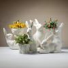 imageSullivans Magnesium Oxide Rabbit Container 185quot Spring Easter White Bunny Rabbit Design Home Dcor for Bathroom Plants Coffee Table Decor Tabletop Shelf Fireplace Mantel Decoration135 Inch