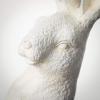 imageSullivans Magnesium Oxide Rabbit Container 185quot Spring Easter White Bunny Rabbit Design Home Dcor for Bathroom Plants Coffee Table Decor Tabletop Shelf Fireplace Mantel Decoration185 Inch
