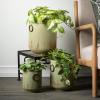 imageSullivans Rustic Patina Planter Set of 3 Indoor Planter Pot Kitchen Living Room and Office Home Dcor