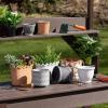 imageSullivans Scalloped Edge Dish Garden Pot Indoor Planter Pot Kitchen Living Room and Office Home Dcor
