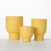 imageSullivans Matte Yellow Goblet Planters Set of 3 Indoor Planter Pot Kitchen Living Room and Office Home Dcor
